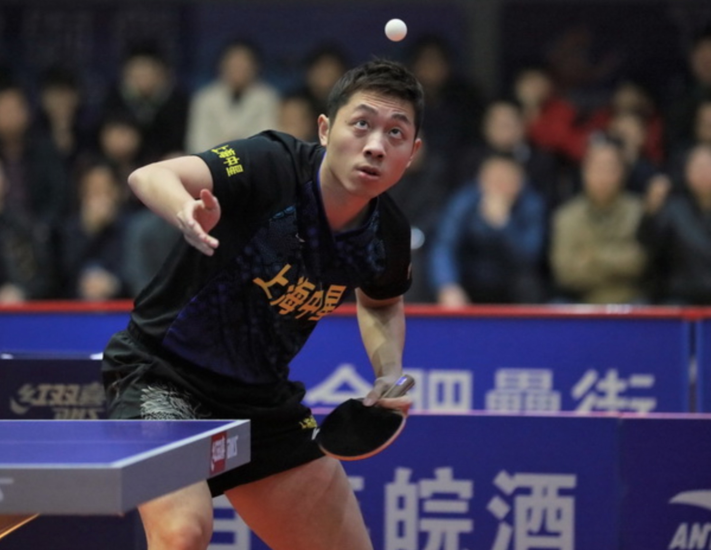 开云体育在线-日本乒乓球队轻取瑞典乒乓球队，许昕高光表现的简单介绍