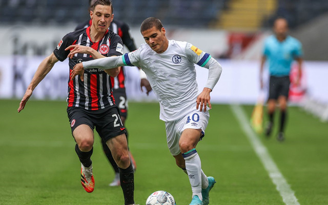 沙尔克主场失利，德甲保级形势严峻的简单介绍