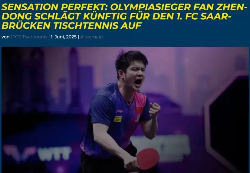 德国队轻取中国队，樊振东关键制胜的简单介绍