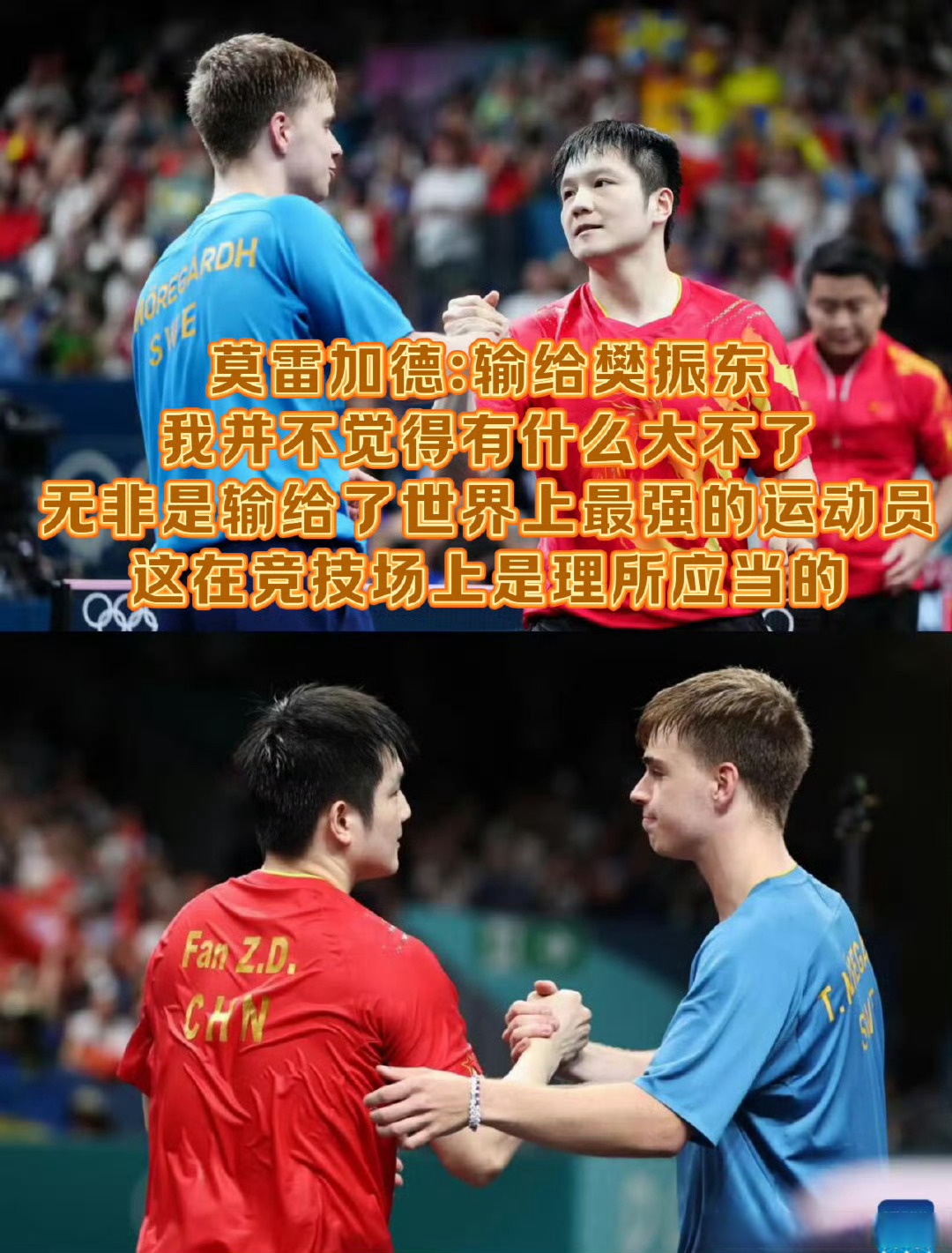 中国队翻盘日本队，樊振东带队取胜