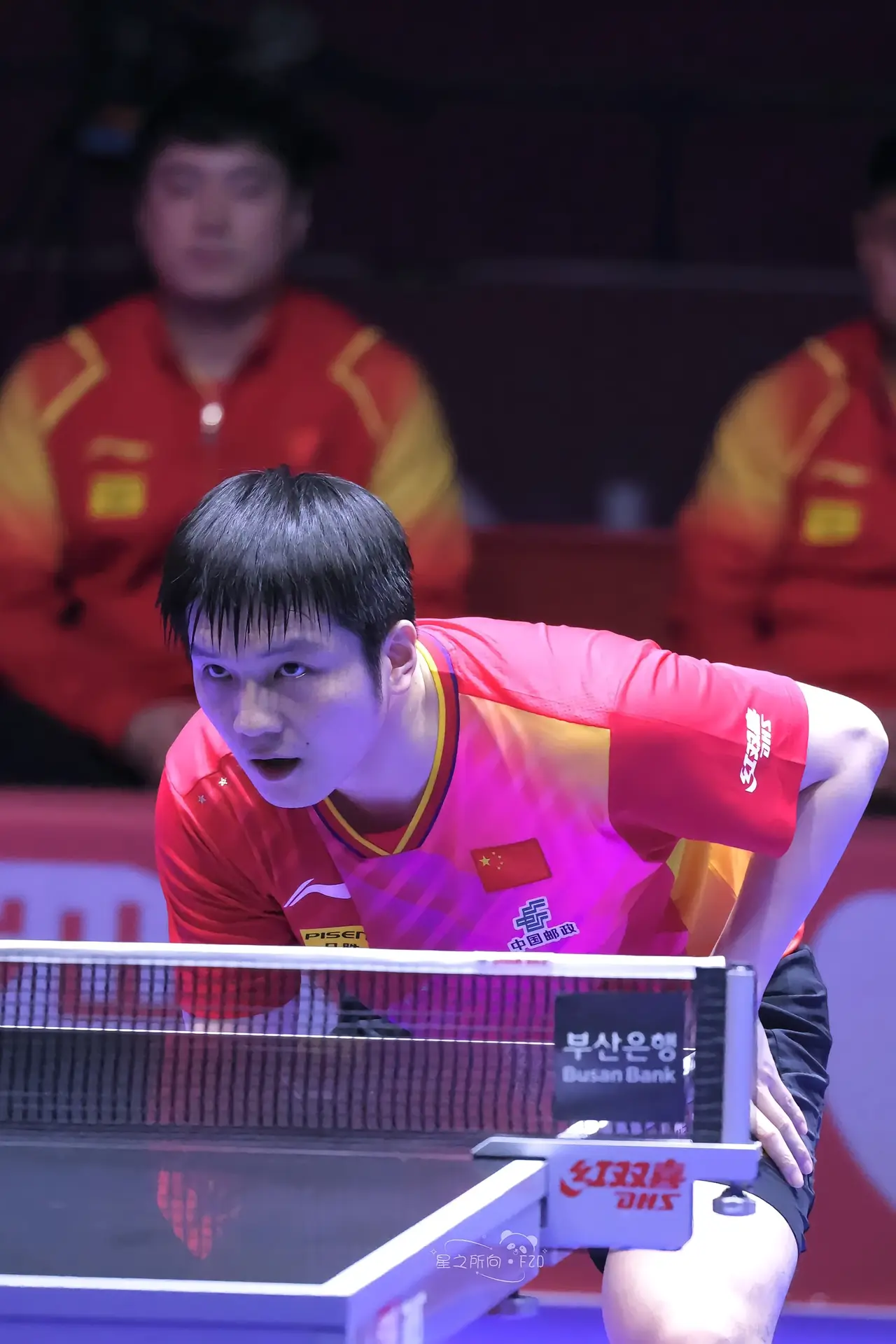 中国队力克法国队,张继科状态火热的简单介绍 中国队力克法国队,张继科状态火热的简单介绍