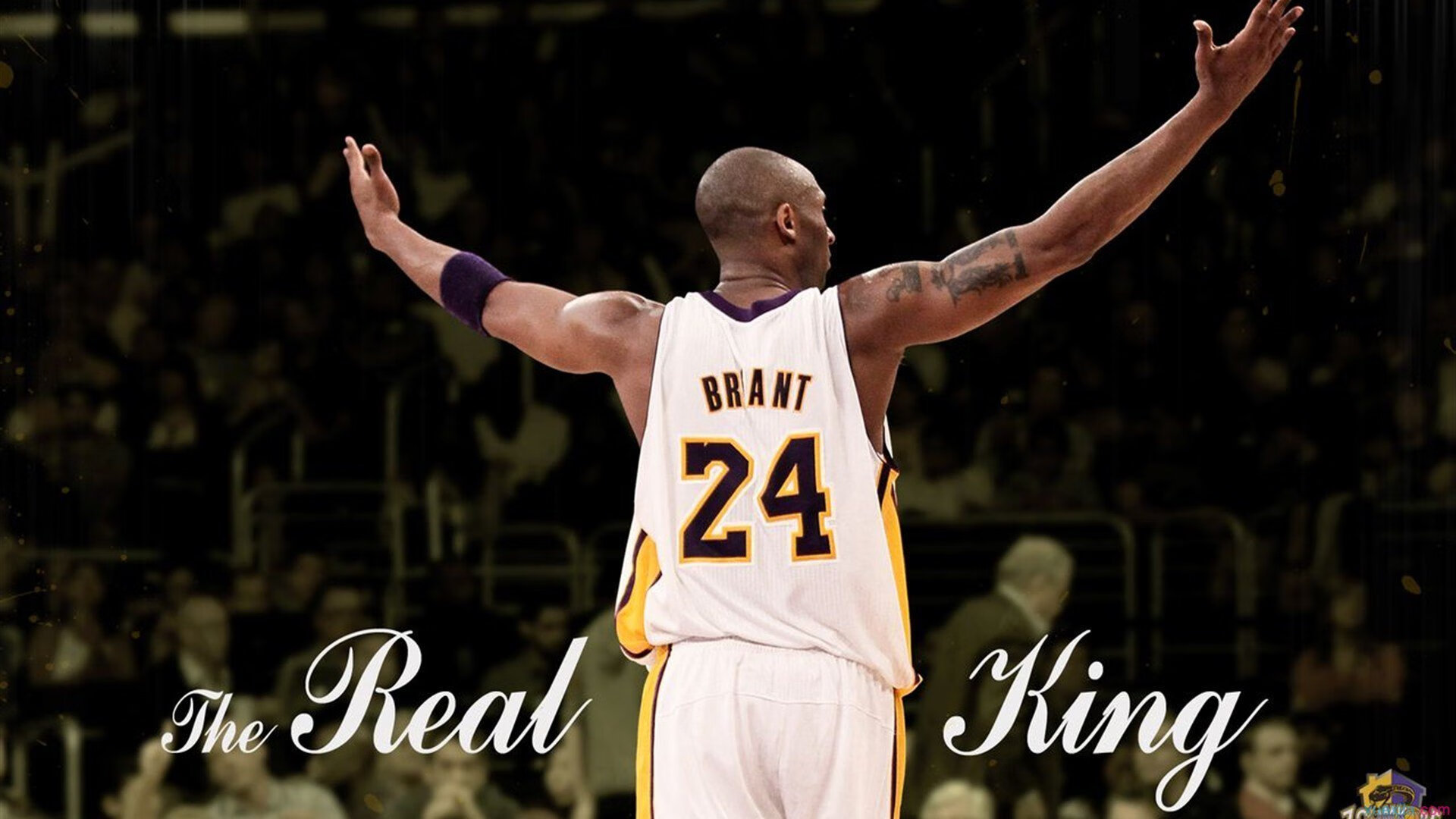 魔术对阵开拓者，小贾伦·杰克逊如何成为全场焦点