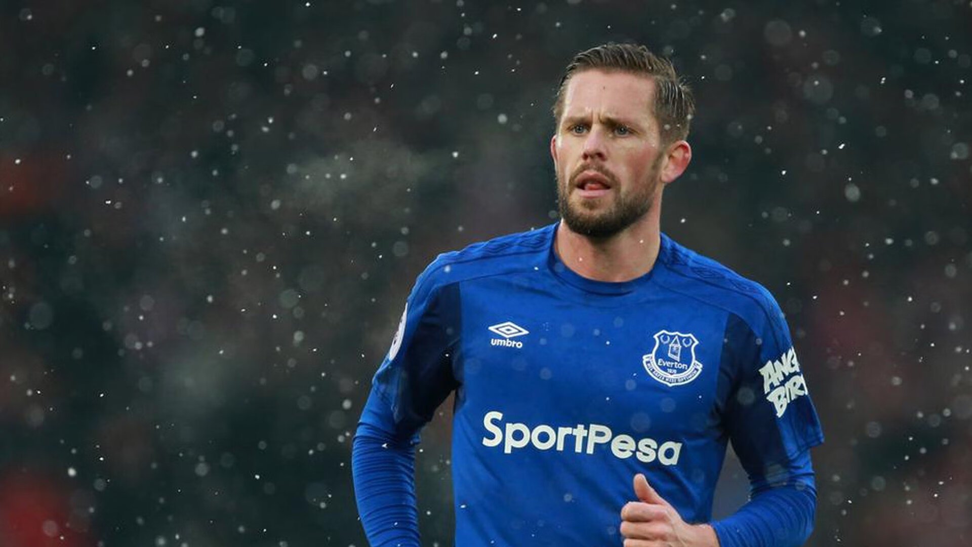 鏖战日耳曼，龙吟维也纳，马龙独扛奥地利战旗